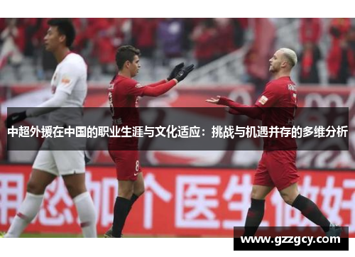中超外援在中国的职业生涯与文化适应：挑战与机遇并存的多维分析