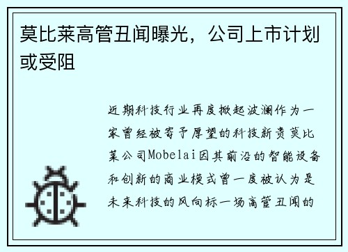 莫比莱高管丑闻曝光，公司上市计划或受阻